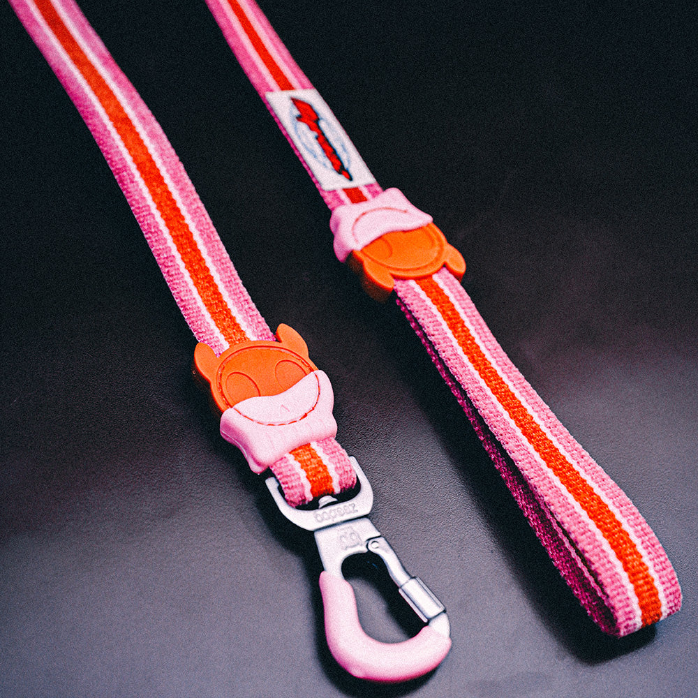COURTNEY LEASH コートニー リード