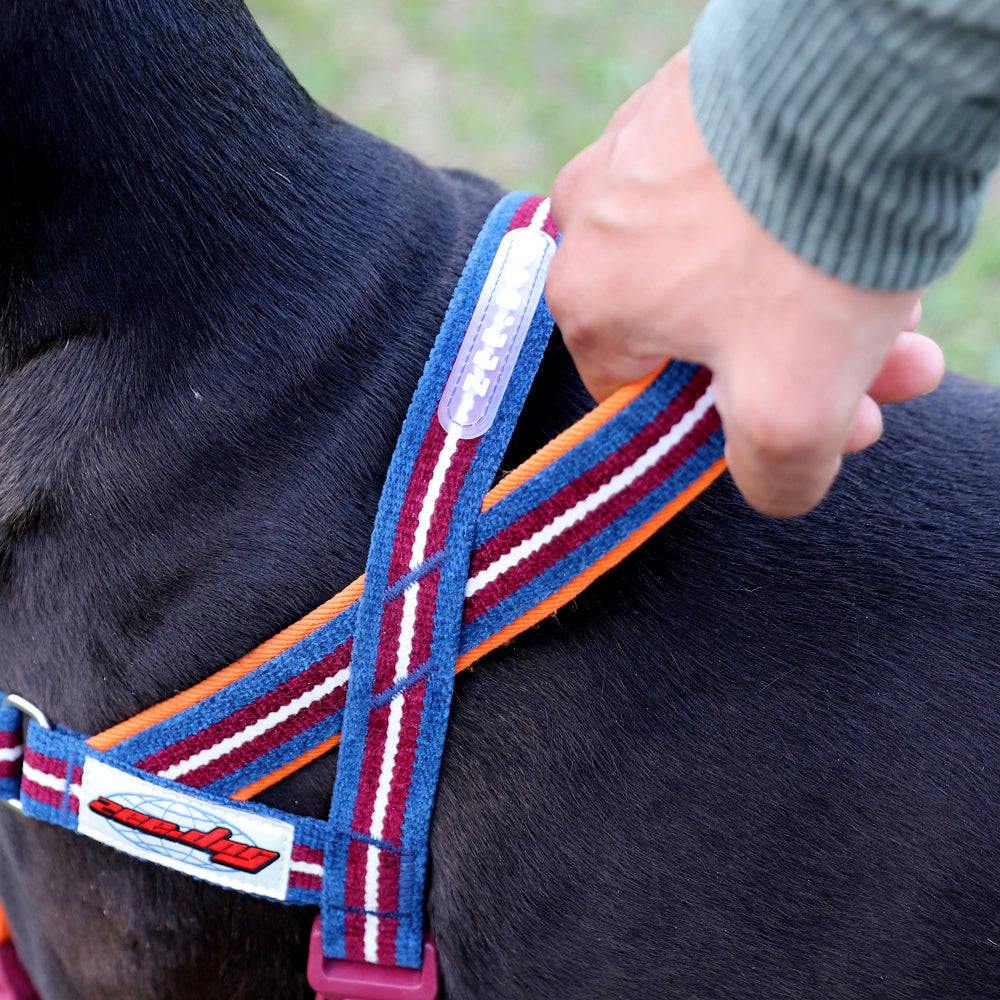 DROPOUT SOFTER WALK HARNESS ドロップアウト ソフターウォークハーネス