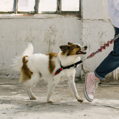 FATBOY SOFT WALK HARNESS ファットボーイ ソフトウォークハーネス