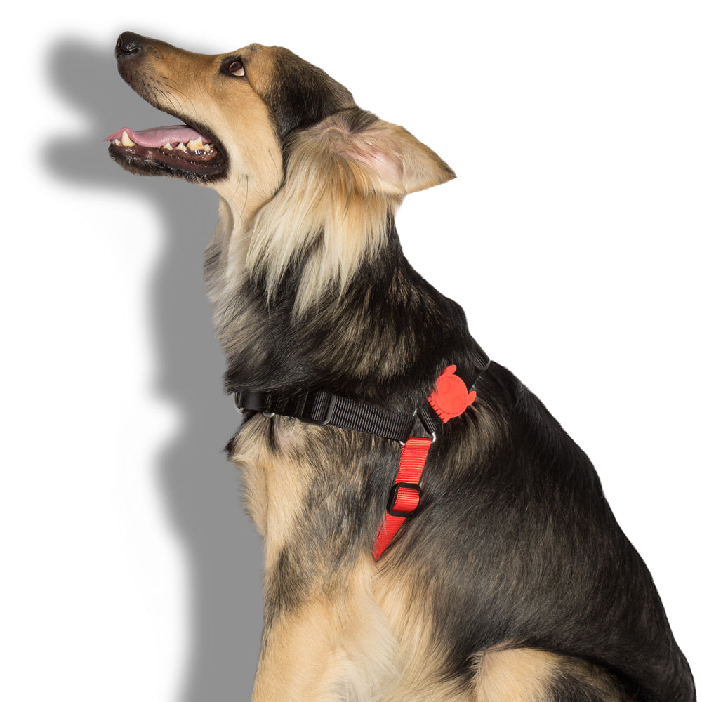 FATBOY SOFT WALK HARNESS ファットボーイ ソフトウォークハーネス