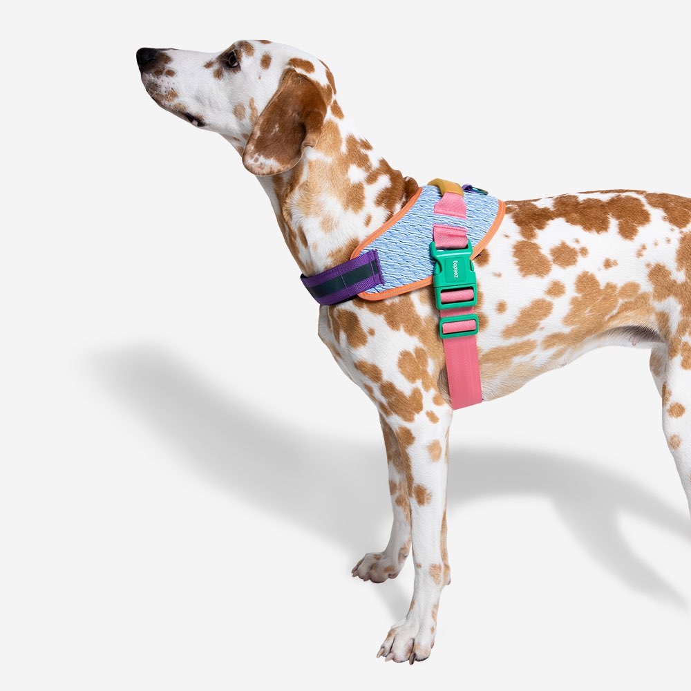 GALAXY FLY HARNESS ギャラクシー フライハーネス