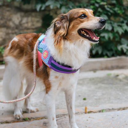 GALAXY FLY HARNESS ギャラクシー フライハーネス