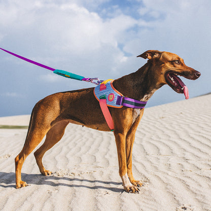 GALAXY FLY HARNESS ギャラクシー フライハーネス
