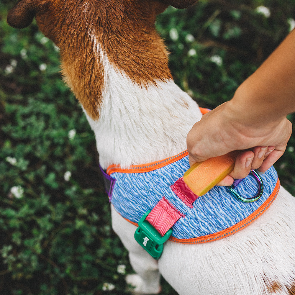 GALAXY FLY HARNESS ギャラクシー フライハーネス