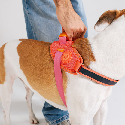 GAZELLE FLY HARNESS ガゼル フライハーネス