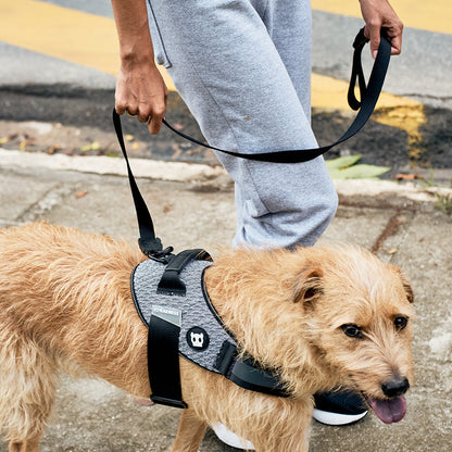 GOTHAM LEASH ゴッサム リード