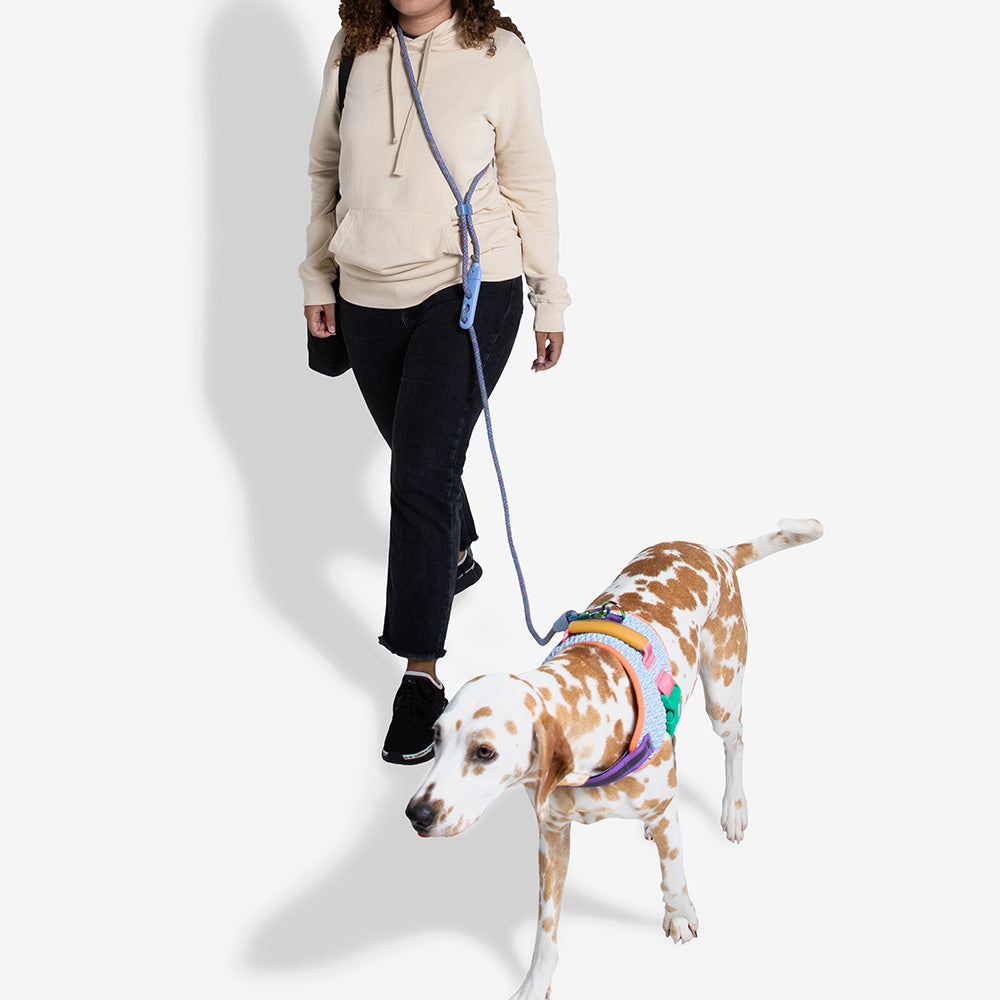 ANDROMEDA HANDS-FREE LEASH アンドロメダ ハンズフリーリーシュ