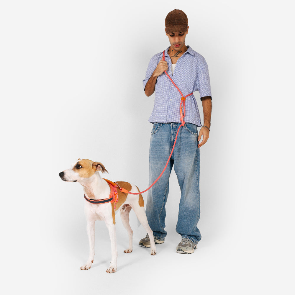 GAZELLE HANDS-FREE LEASH ガゼル ハンズフリーリーシュ