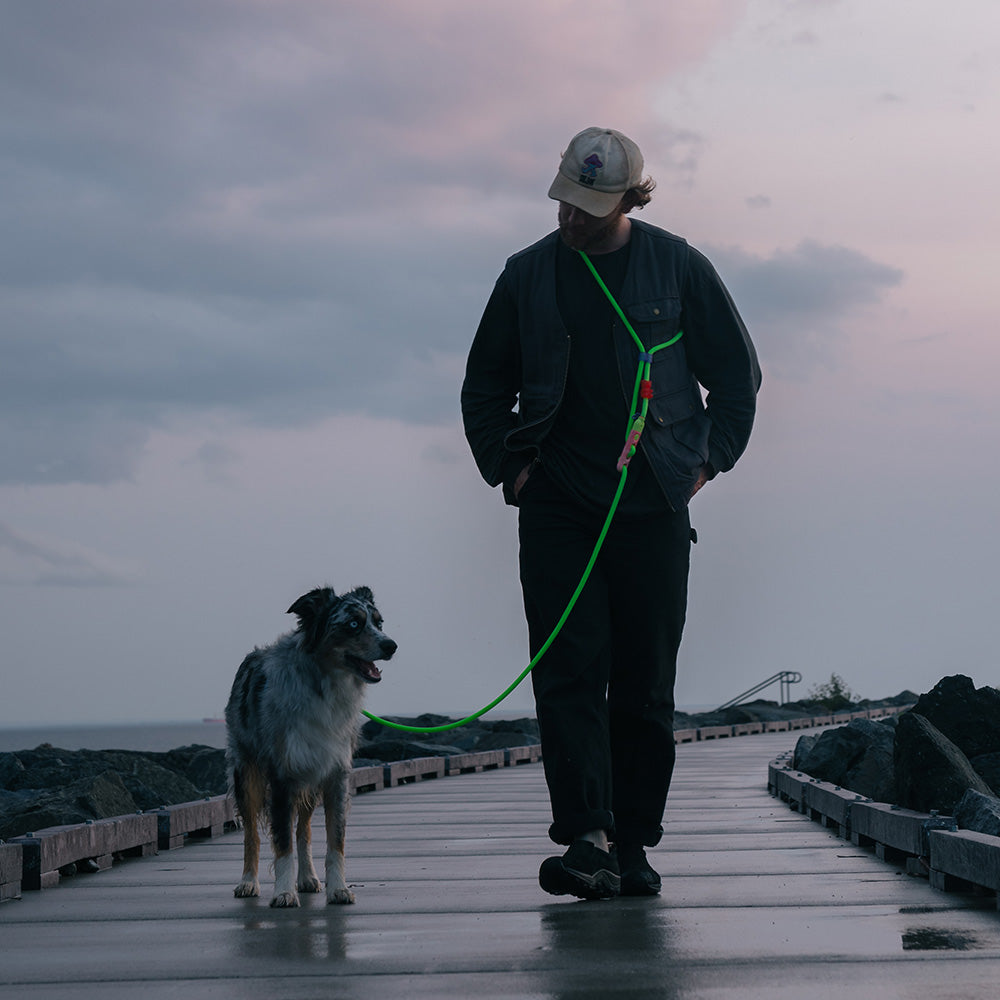 GLO HANDS-FREE LEASH グロウ ハンズフリーリーシュ