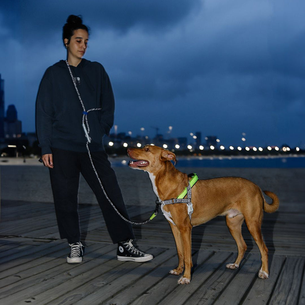 NOX HANDS-FREE LEASH ノックス ハンズフリーリーシュ