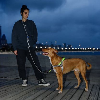 NOX HANDS-FREE LEASH ノックス ハンズフリーリーシュ