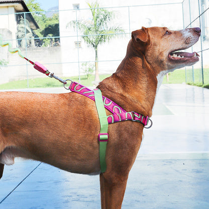 H3D JELLY SOFTER WALK HARNESS H3D ジェリー ソフターウォークハーネス