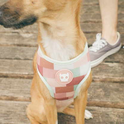 LAGUNA AIR MESH HARNESS ラグナ メッシュハーネス