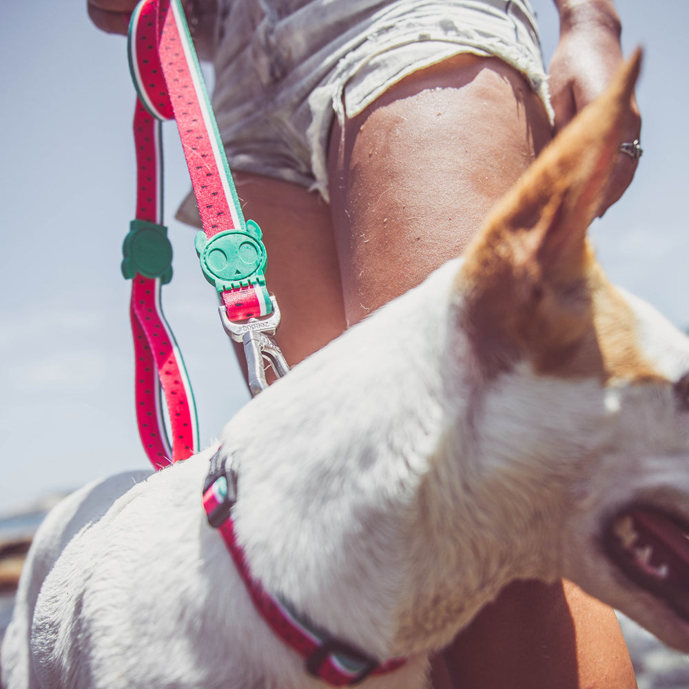 LOLA LEASH ローラ リード