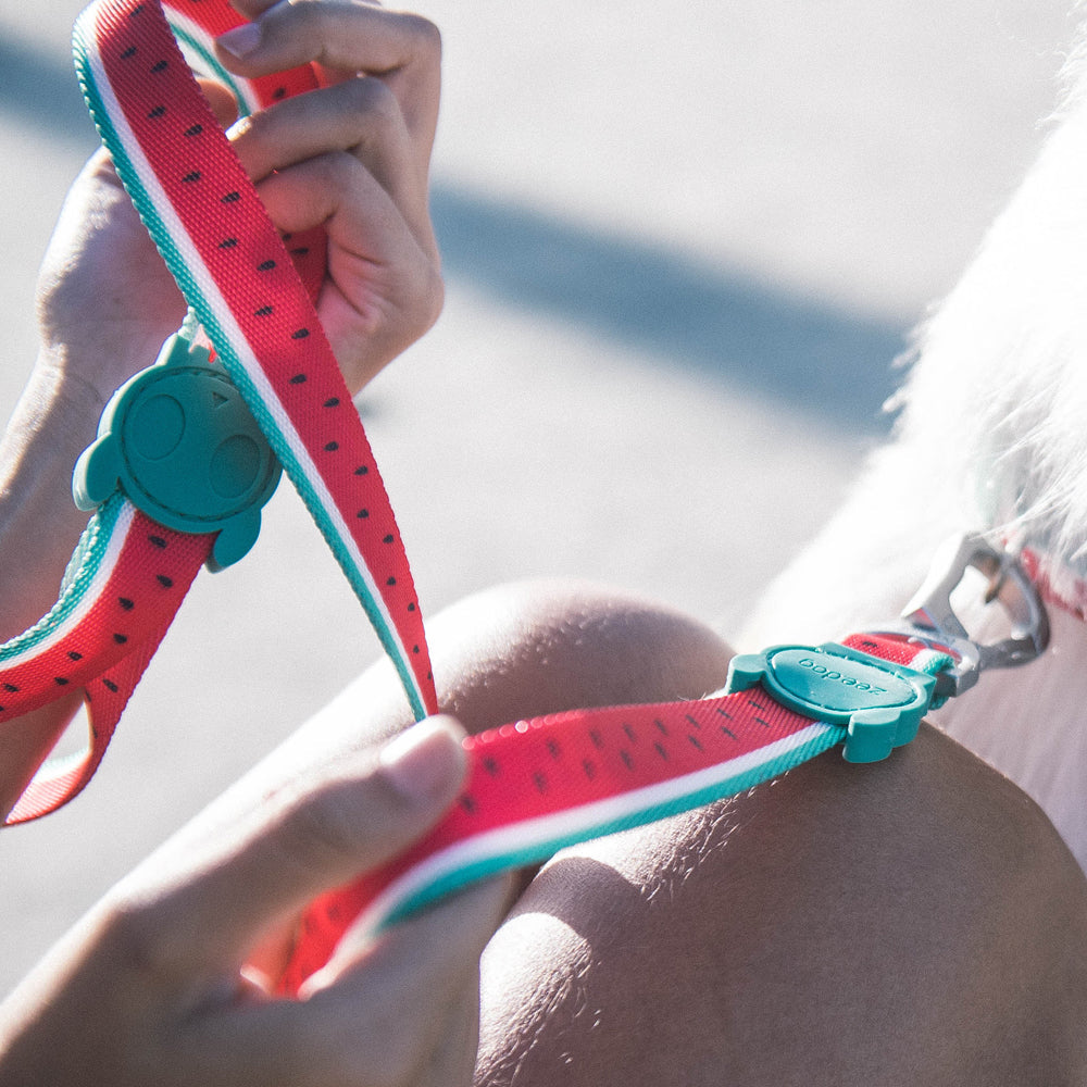 LOLA LEASH ローラ リード