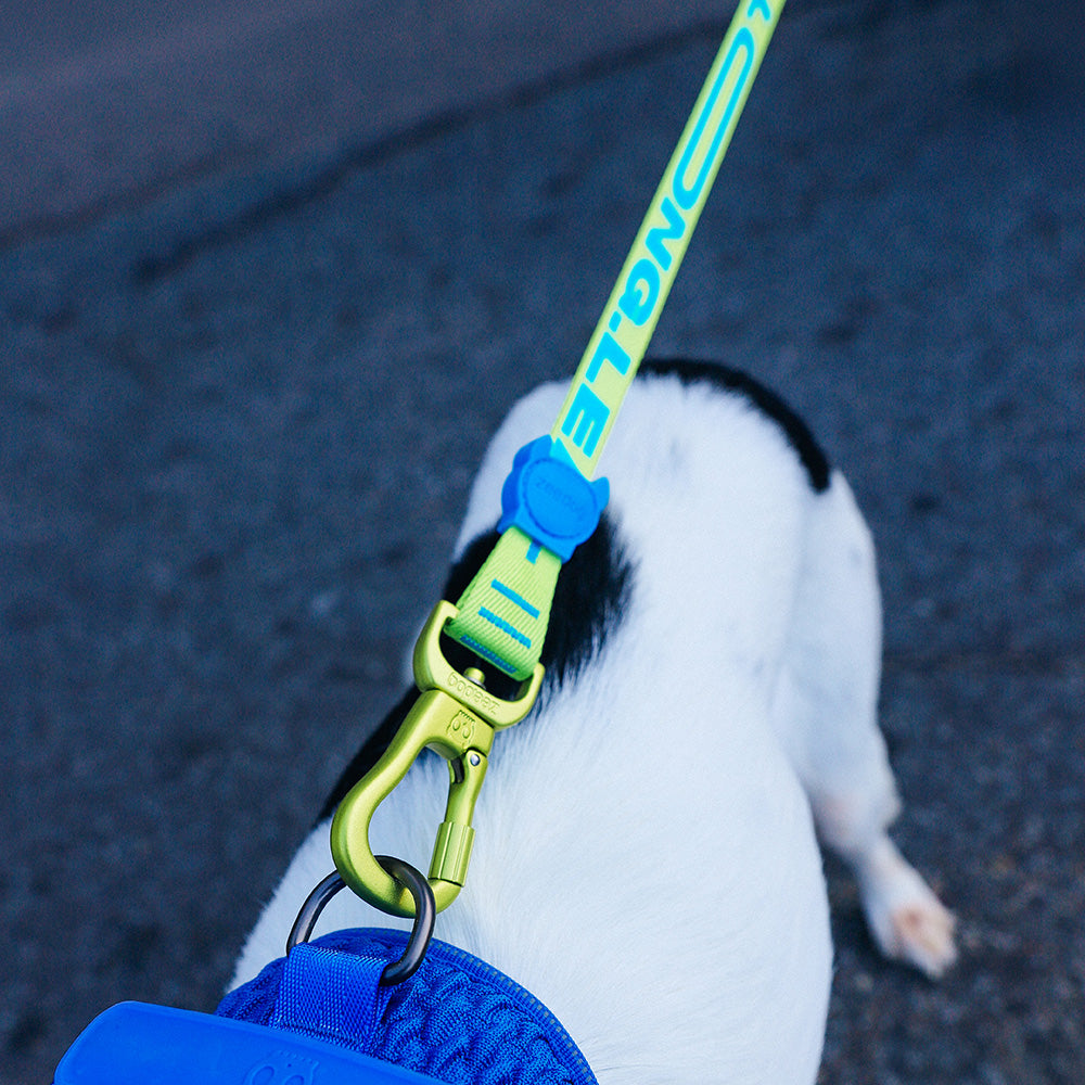 RAYO LONG LEASH ラヨ ロングリーシュ