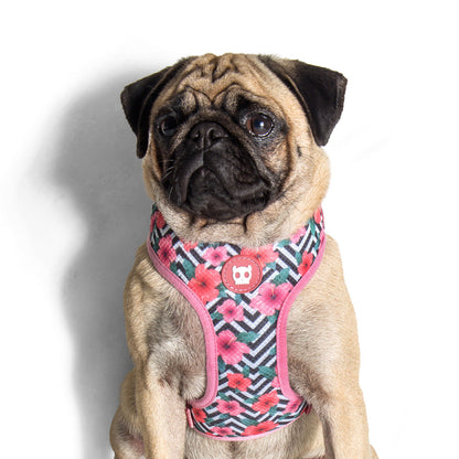 MAHALO MESH HARNESS マハロ メッシュハーネス
