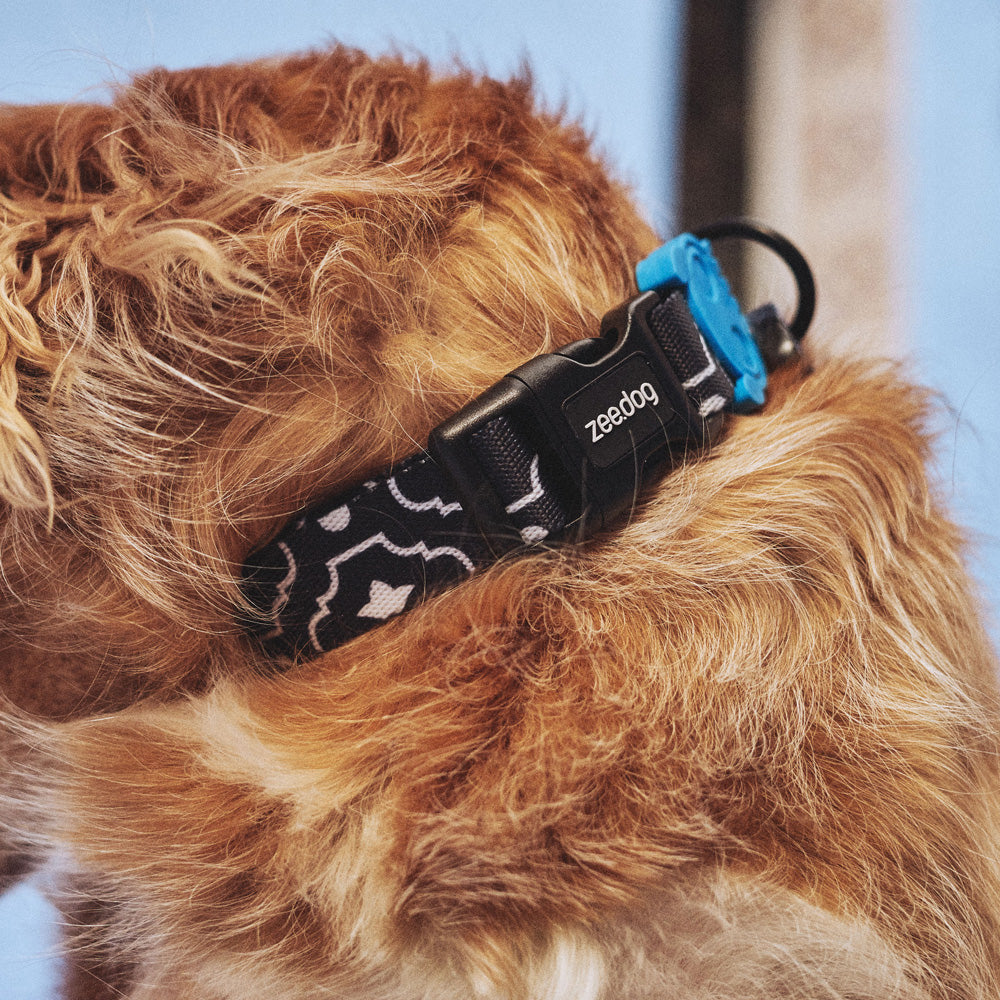MAHLEB COLLAR マーレブ カラー