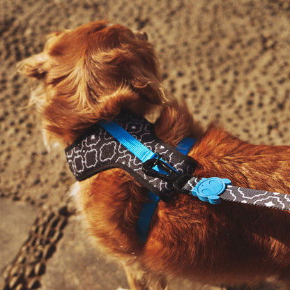 MAHLEB MESH HARNESS マーレブ メッシュハーネス