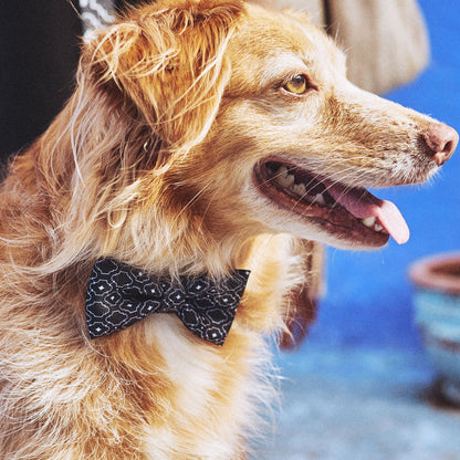 MAHLEB BOW TIE マーレブ ボウタイ