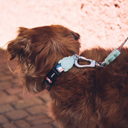 MARCUCH COLLAR マルク カラー
