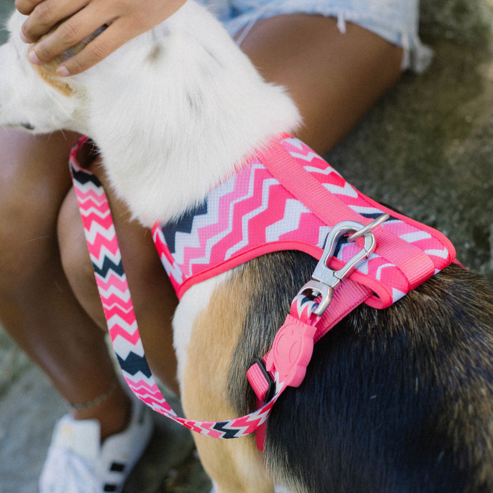 MAUI AIR MESH HARNESS マウイ  メッシュハーネス