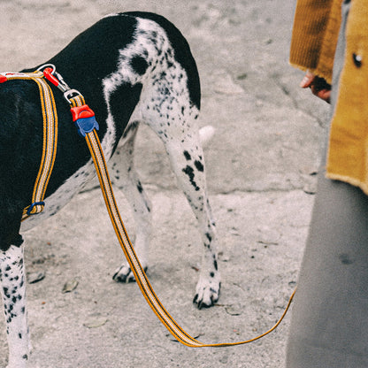 MISFIT LEASH ミスフィット リード