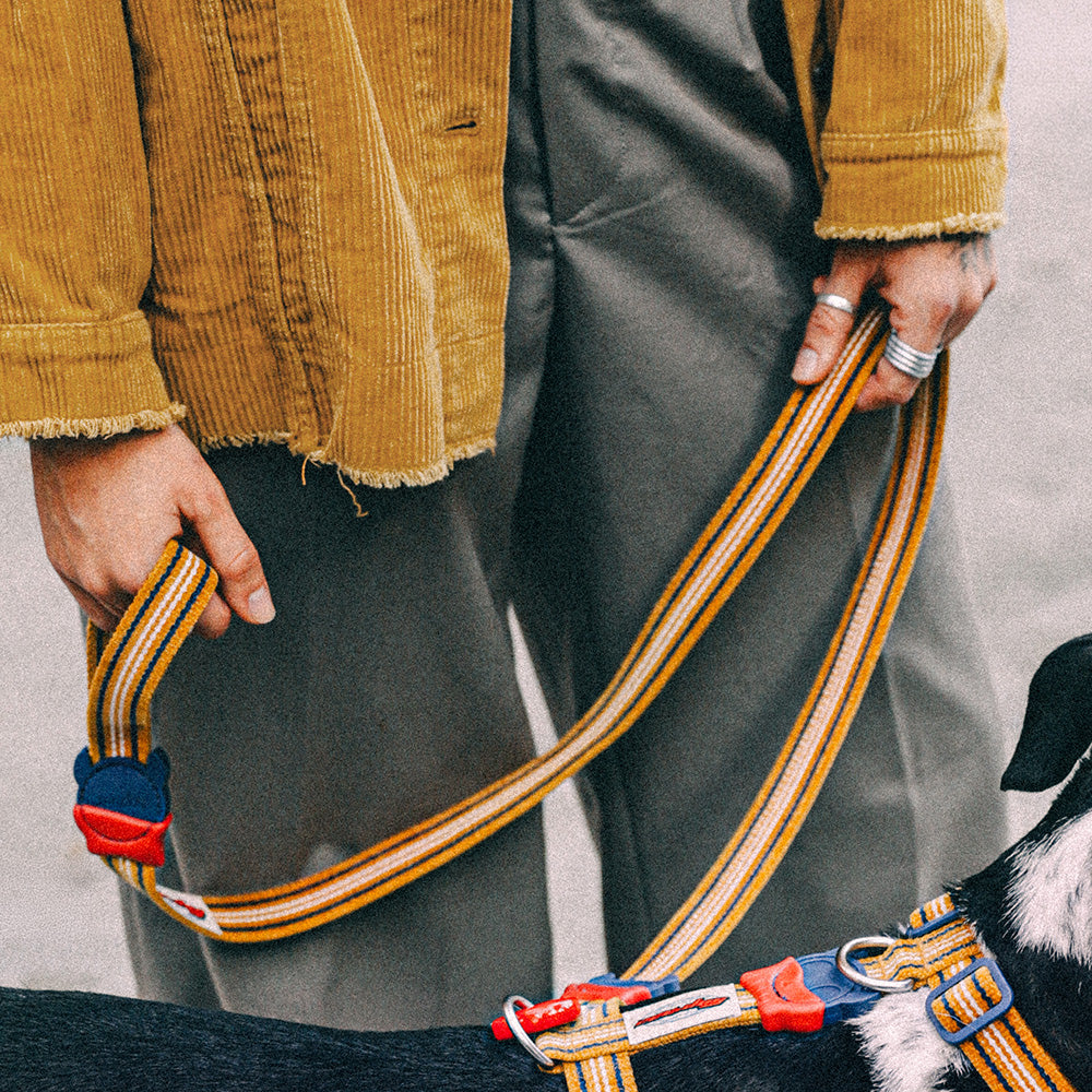 MISFIT LEASH ミスフィット リード