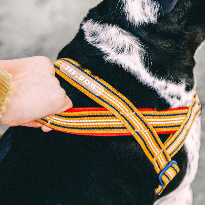 MISFIT SOFTER WALK HARNESS ミスフィット ソフターウォークハーネス