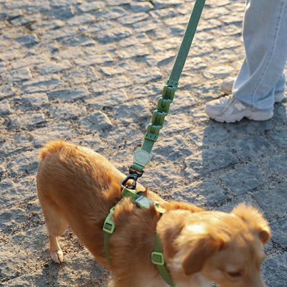 MOSS RUFF LEASH モス ラフリード