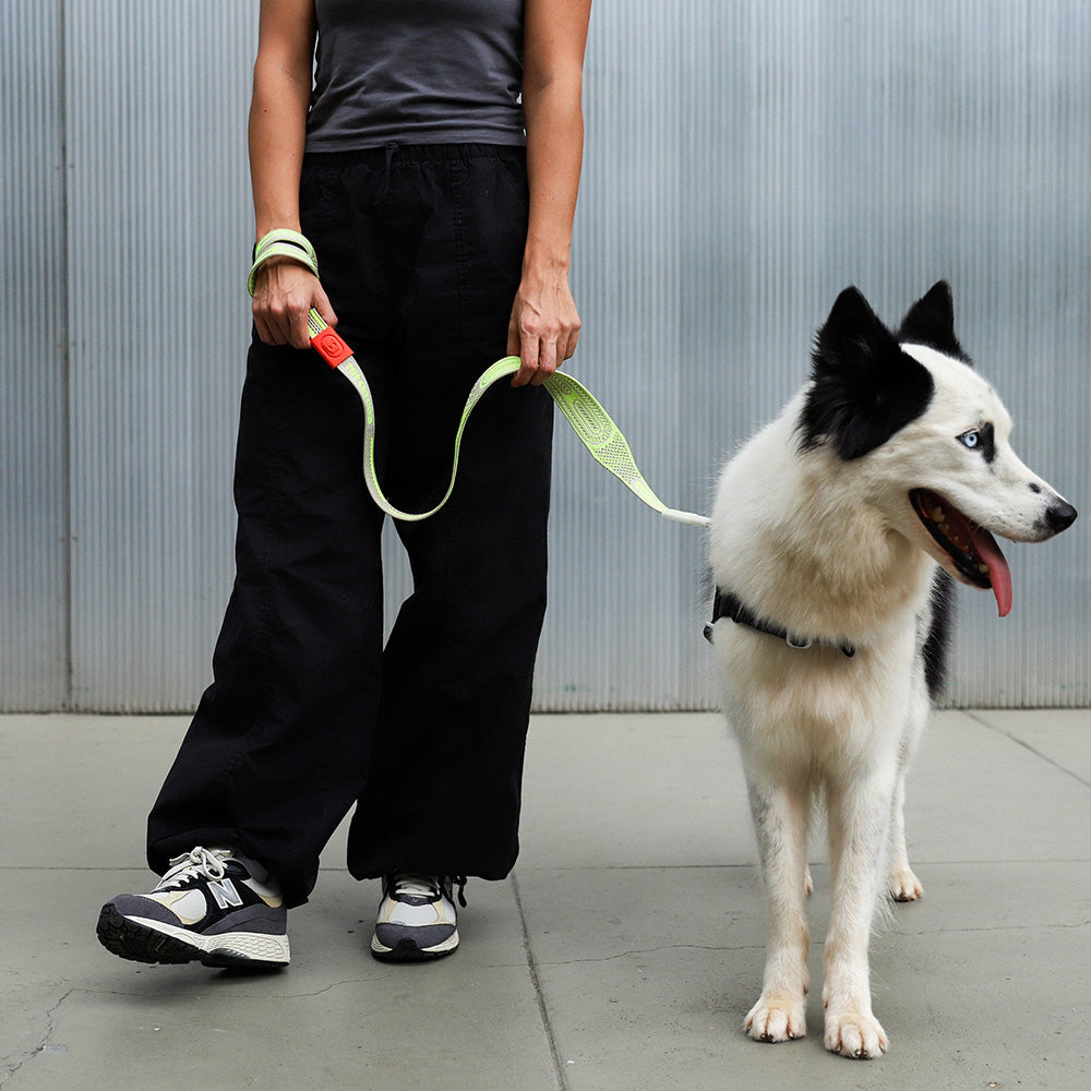 GLUTEN NIT LEASH グルテン ニットリーシュ