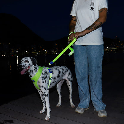 NOX LUMEN LEASH ノックス ルーメン リード