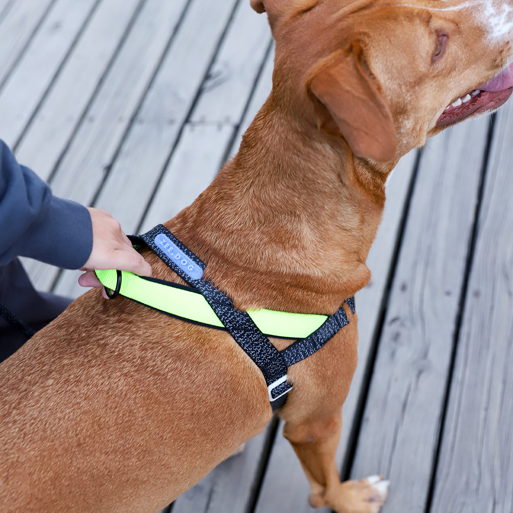 NOX SOFTER WALK HARNESS ノックス ソフターウォークハーネス