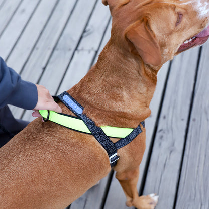 NOX SOFTER WALK HARNESS ノックス ソフターウォークハーネス