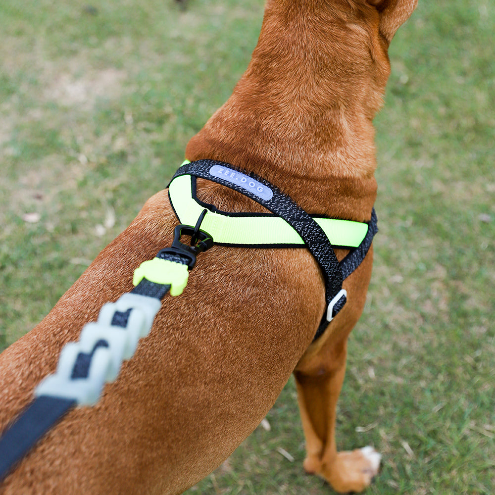NOX SOFTER WALK HARNESS ノックス ソフターウォークハーネス