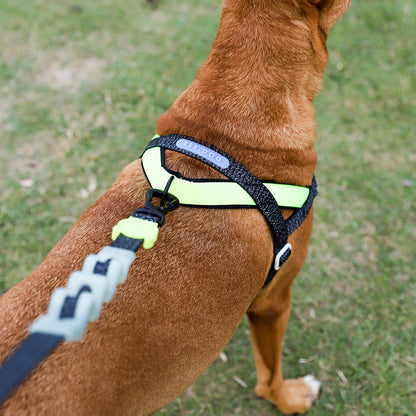 NOX SOFTER WALK HARNESS ノックス ソフターウォークハーネス