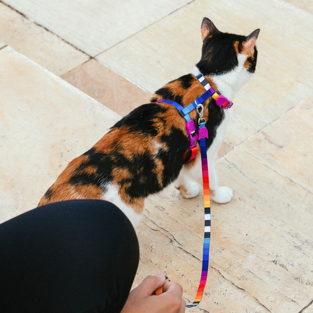 ZEE.CAT PRISMA LEASH HARNESS SET プリズマ リード・ハーネスセット