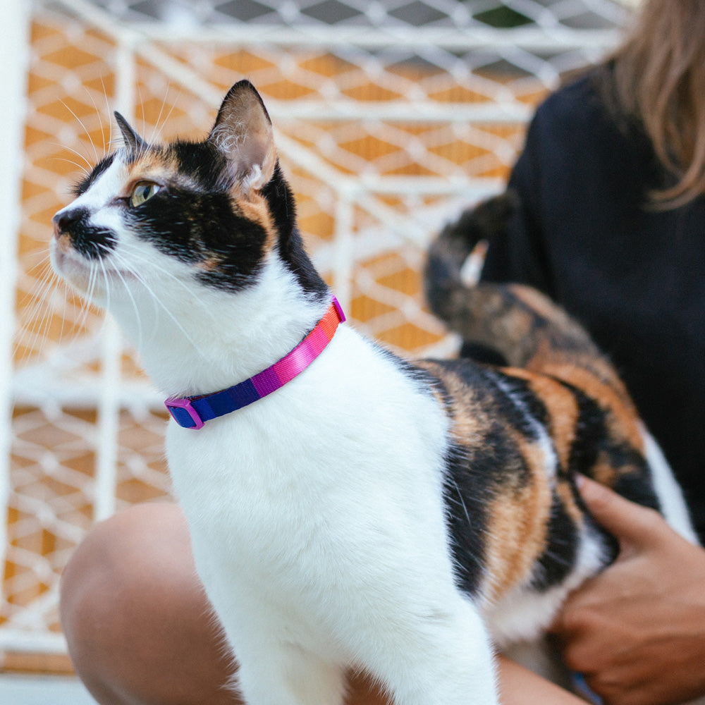 ZEE.CAT PRISMA COLLAR ジーキャット プリズマ カラー