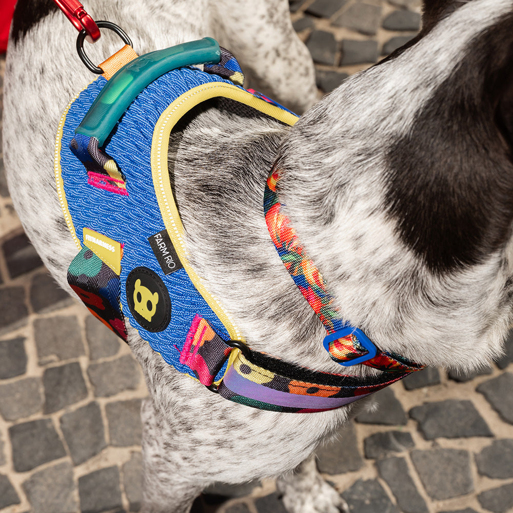FARM RIO SAMBA FLY HARNESS ファームリオ サンバ フライハーネス