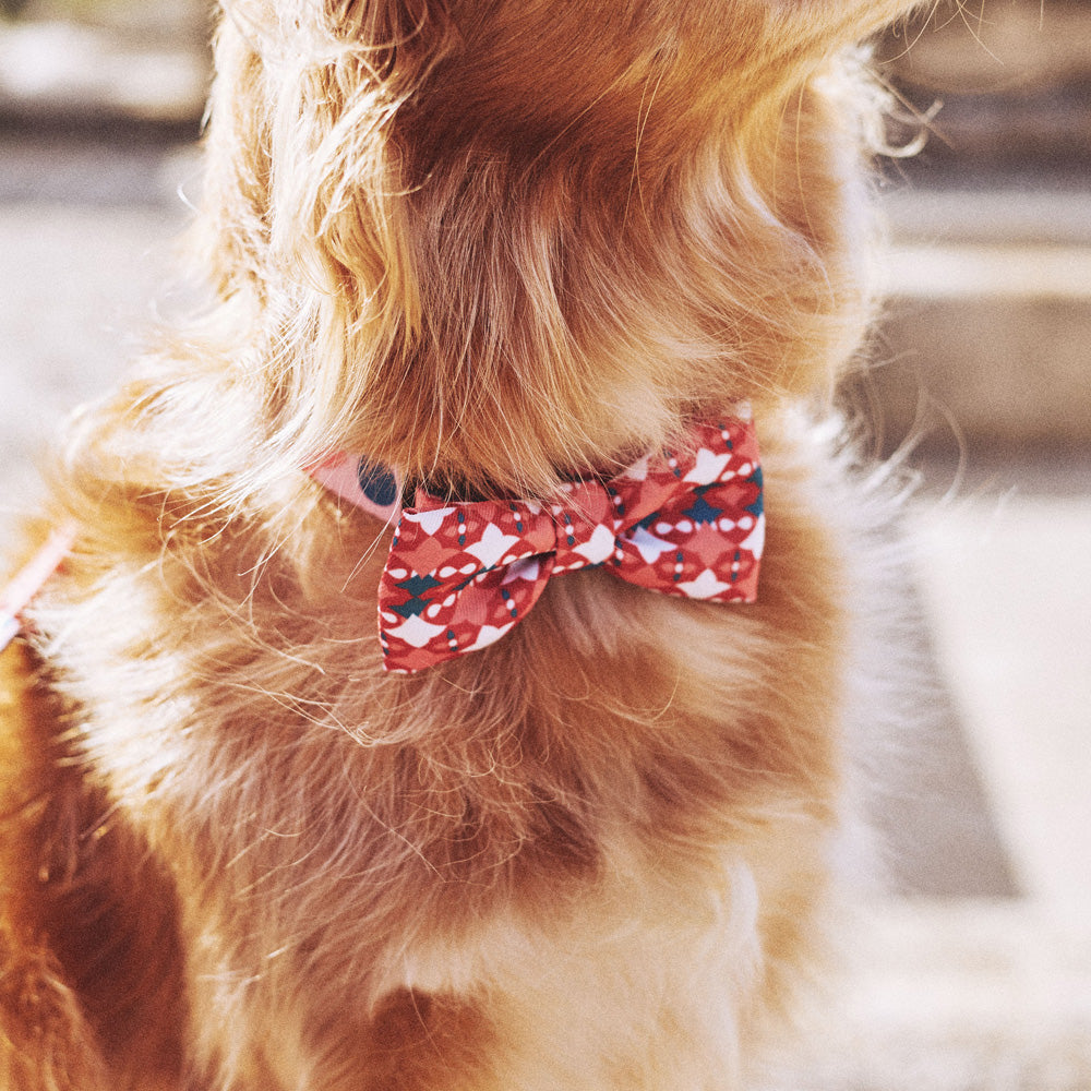 SAME BOW TIE セイム ボウタイ