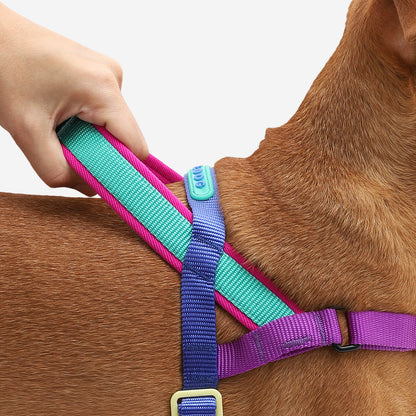 SHOCKWAVE SOFTER WALK HARNESS ショックウェーブ ソフターウォークハーネス
