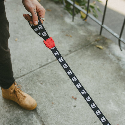 SKULL LEASH スカル リード