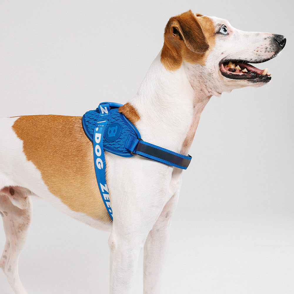 SLAM DUNK FLY HARNESS スラムダンク フライハーネス