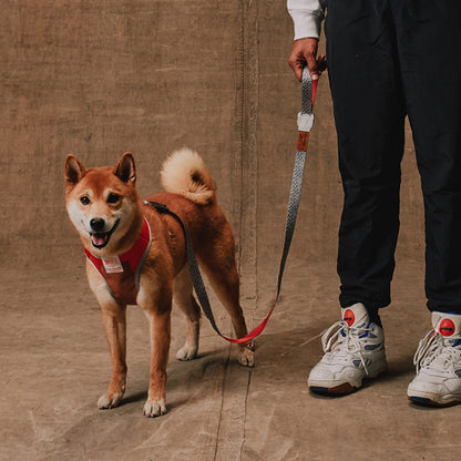Reebok SUEDE LEASH リーボック スエード リード