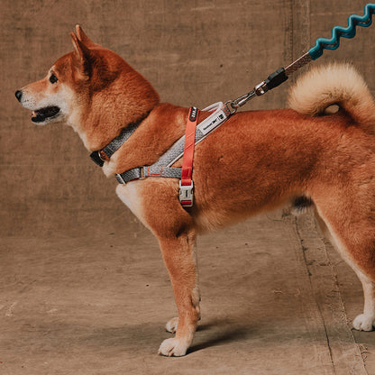 Reebok SUEDE SOFTER WALK HARNESS リーボック スエード ソフターウォークハーネス