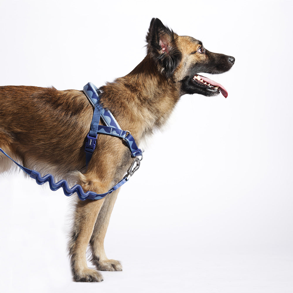 SWELL RUFF LEASH スウェル ラフリード