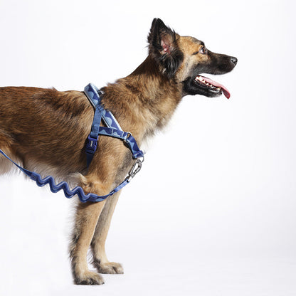 SWELL RUFF LEASH スウェル ラフリード