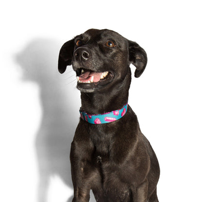 TETRIS COLLAR テトリス カラー