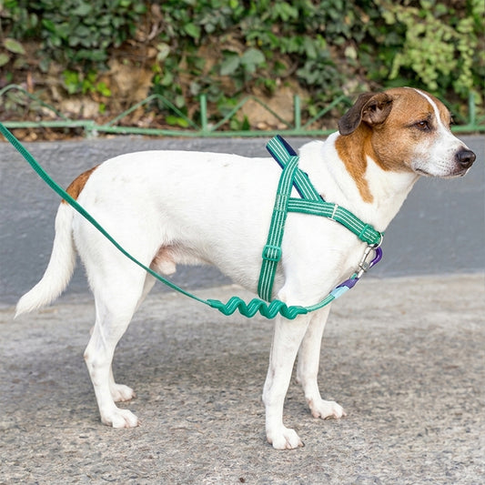 VERT SOFTER WALK HARNESS ヴェール ソフターウォークハーネス