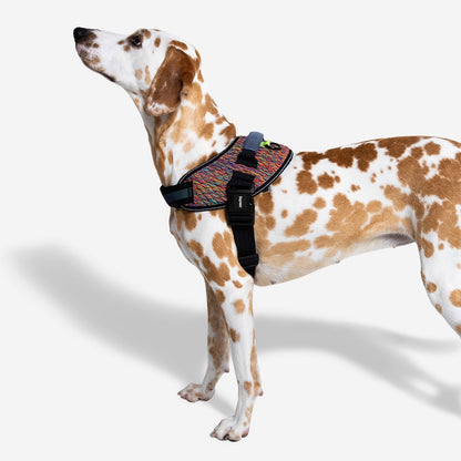 VORTEX FLY HARNESS ボーテックス フライハーネス